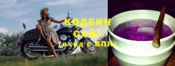 молекула духа Бородино