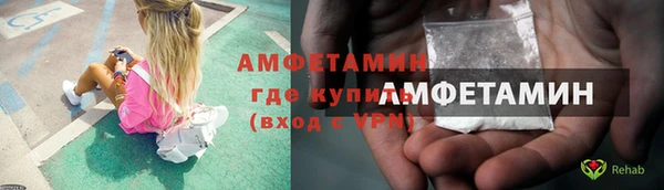 молекула духа Бородино
