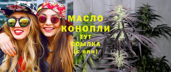 молекула духа Бородино