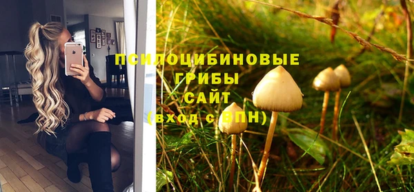 молекула духа Бородино