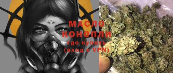 молекула духа Бородино