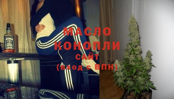 молекула духа Бородино