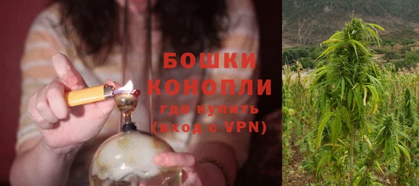молекула духа Бородино