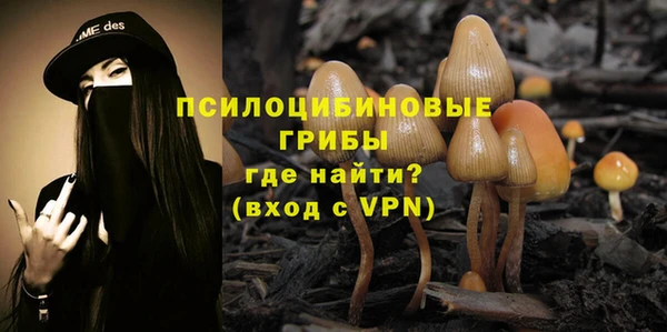 молекула духа Бородино