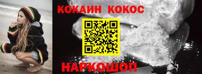 шишки Гай