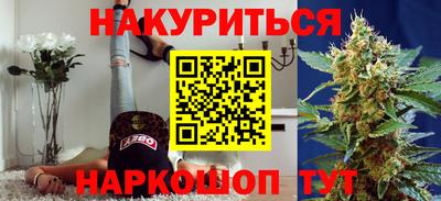 прущие грибы Будённовск