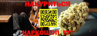 шишки Гай