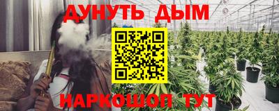крисы Гагарин