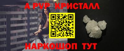 крисы Гагарин