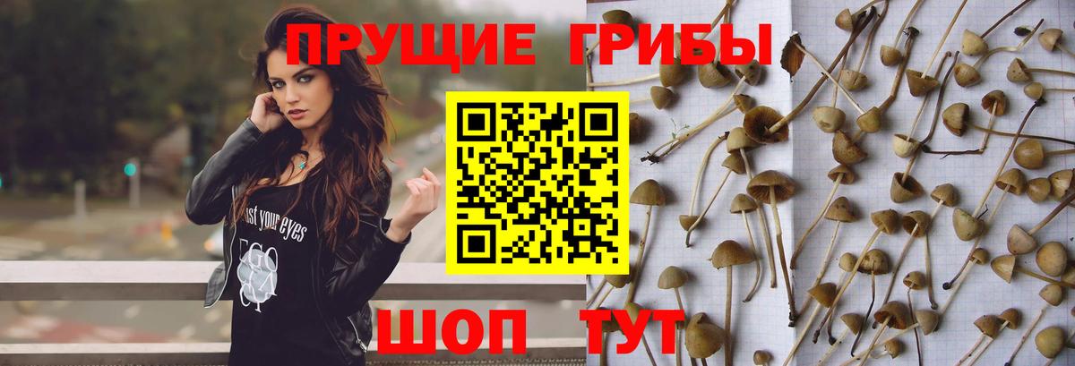 Галлюциногенные грибы MAGIC MUSHROOMS  Воскресенск  хочу   Псилоцибиновые грибы MAGIC MUSHROOMS 